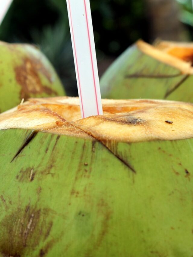 The Surprising Link Between Coconut Water And Gas - llynatc