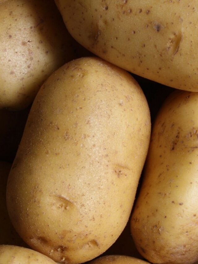 Understanding Foods That Should Not Be Eaten Uncooked