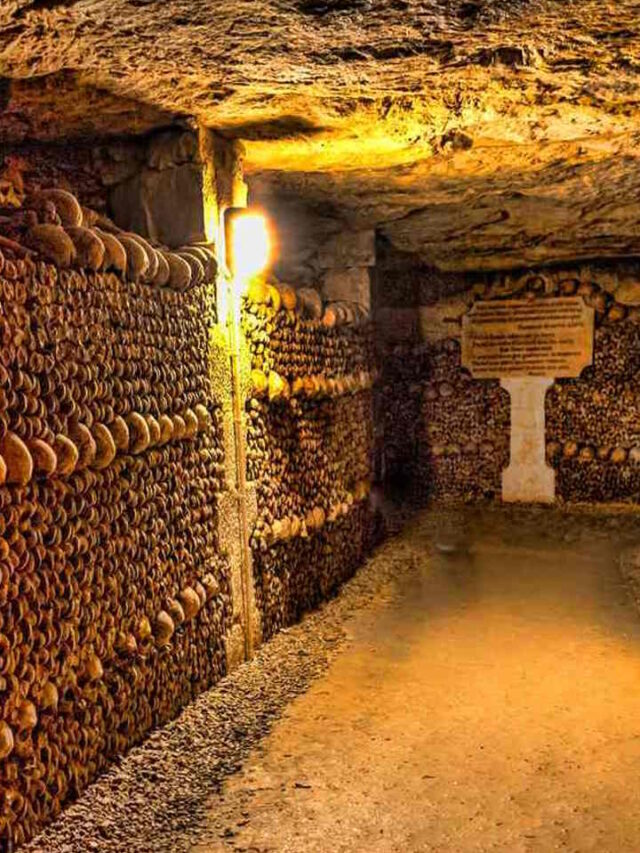 of Paris 320 KM डरावनी सुरंग, जहां हैं 60 लाख कंकाल