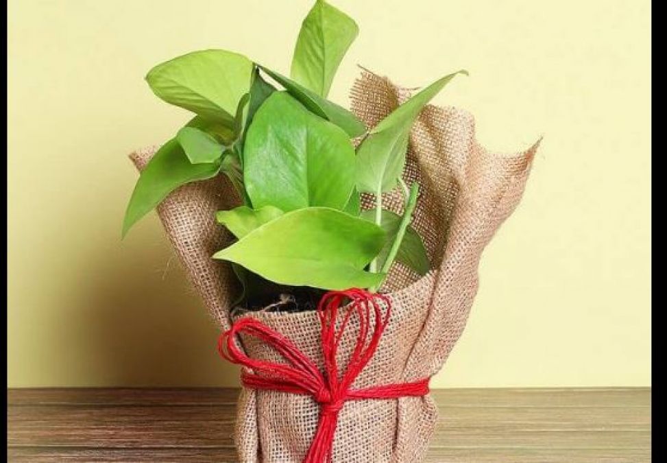 मनॠपà¥à¤²à¤¾à¤à¤ मà¥à¤ लाल धाà¤à¤¾ बाà¤à¤§à¤¨à¥ à¤à¤¾ तरà¥à¤à¤¼à¤¾ à¤à¤° à¤à¤¸à¤à¥ लाà¤