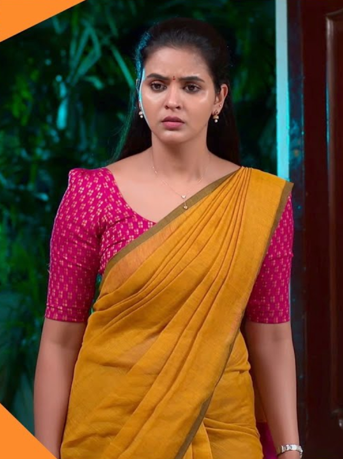 கயல் சீரியலில் நடிக்கும் நடிகர், நடிகைகளின் சம்பளம் எவ்வளவு தெரியுமா..?