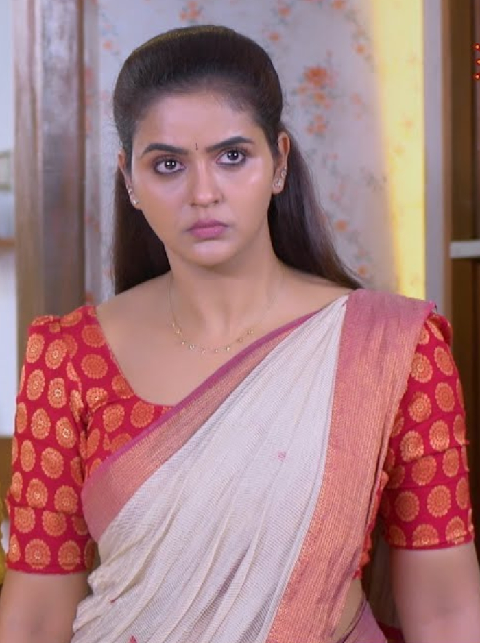 கயல் சீரியலில் நடிக்கும் நடிகர், நடிகைகளின் சம்பளம் எவ்வளவு தெரியுமா..?