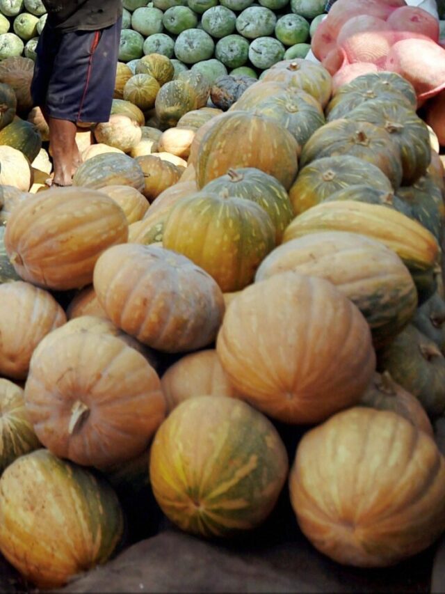 ಕುಂಬಳಕಾಯಿ ಬೀಜ ಸೇವನೆಯ ಪ್ರಯೋಜನಗಳಿವು